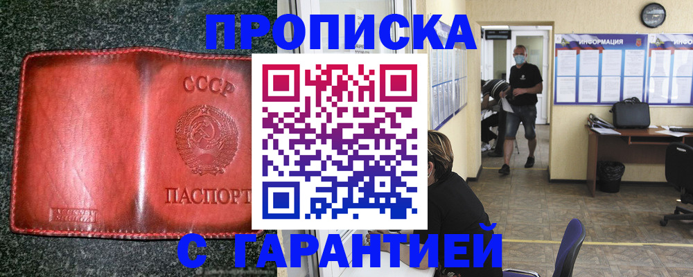 прописка гарантия в Лосино-Петровском